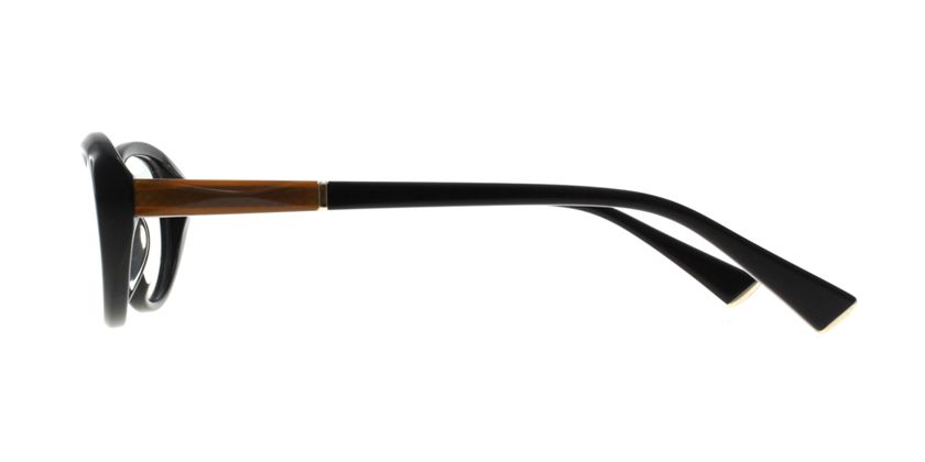 Anson Benson MT2453F001 Eyeglasses - Side View